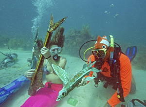Lower Keys Underwater Music Festival, held in an unusual sub-sea setting, provides a melodic experience that spotlights coral reef protection and environmentally responsible diving.